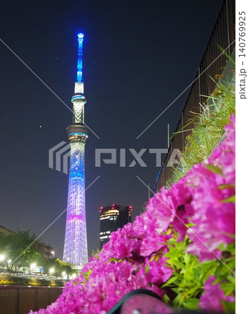 ライトアップされた東京スカイツリーと手前に咲くツツジの夜景 ライトアップされた東京スカイツリーと手前に咲くツツジの夜景 140769925