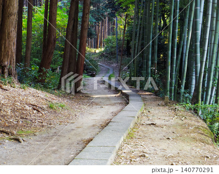 森へ続く竹林の小道 森へ続く竹林の小道 140770291