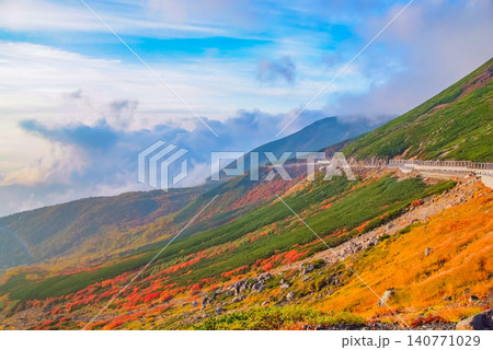 秋の朝光 紅葉最盛期の乗鞍岳・エコーラインと位ヶ原へ流れる美しい紅葉の山肌風景 秋の朝光 紅葉最盛期の乗鞍岳・エコーラインと位ヶ原へ流れる美しい紅葉の山肌風景 140771029
