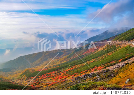 秋の朝光 紅葉最盛期の乗鞍岳・エコーラインと位ヶ原へ流れる美しい紅葉の山肌風景 秋の朝光 紅葉最盛期の乗鞍岳・エコーラインと位ヶ原へ流れる美しい紅葉の山肌風景 140771030