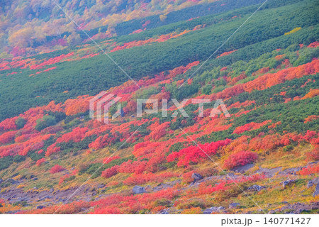 秋の朝光 紅葉最盛期の乗鞍岳・左下へ美しく流れるような三色紅葉の山肌クローズアップ風景 秋の朝光 紅葉最盛期の乗鞍岳・左下へ美しく流れるような三色紅葉の山肌クローズアップ風景 140771427