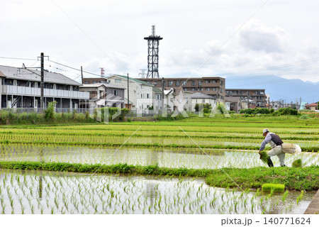 JR相模線の近くの田んぼで田植えをする農夫 140771624