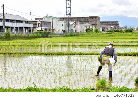 JR相模線の近くの田んぼで田植えをする農夫 140771625