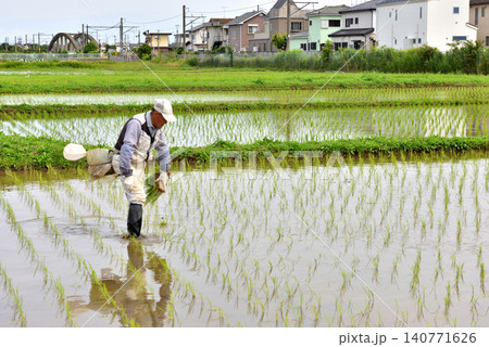 JR相模線の近くの田んぼで田植えをする農夫 140771626