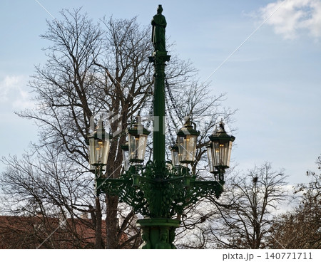 Colorful street scene with ancient lamp. Lush green lamp amidst skeletal trees and city rooftops Colorful street scene with ancient lamp. Lush green lamp amidst skeletal trees and city rooftops 140771711