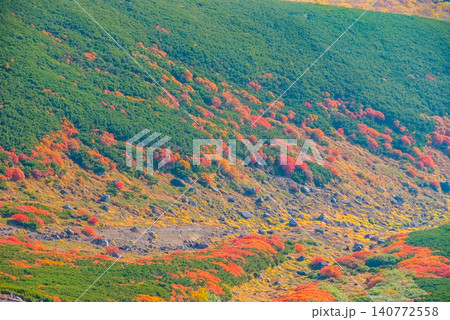 秋の朝光 紅葉最盛期の乗鞍岳・右下に向かってダイナミックに広がる美しい紅葉の山肌風景 秋の朝光 紅葉最盛期の乗鞍岳・右下に向かってダイナミックに広がる美しい紅葉の山肌風景 140772558