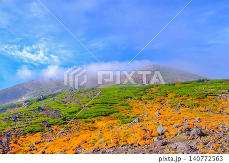 秋の晴れ間 乗鞍岳の登山道から振り返り見上げる美しい草紅葉と雲かかり始めた乗鞍岳・朝日岳の風景 140772563
