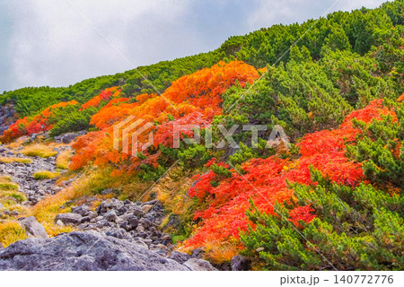 秋の朝光 紅葉最盛期の乗鞍岳・真っ赤に染まったナナカマド主役に彩るカラフルな紅葉風景 秋の朝光 紅葉最盛期の乗鞍岳・真っ赤に染まったナナカマド主役に彩るカラフルな紅葉風景 140772776