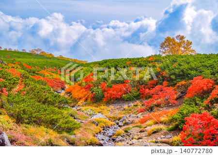 秋の快晴 紅葉最盛期の乗鞍岳・登山道沿いの真っ赤なナナカマドと稜線に映えるオレンジの紅葉風景 秋の快晴 紅葉最盛期の乗鞍岳・登山道沿いの真っ赤なナナカマドと稜線に映えるオレンジの紅葉風景 140772780