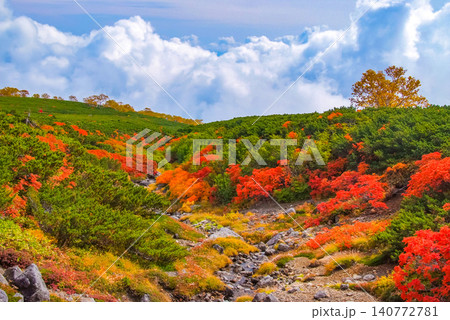 秋の快晴 紅葉最盛期の乗鞍岳・登山道沿いの真っ赤なナナカマドと稜線に映えるオレンジの紅葉風景 秋の快晴 紅葉最盛期の乗鞍岳・登山道沿いの真っ赤なナナカマドと稜線に映えるオレンジの紅葉風景 140772781