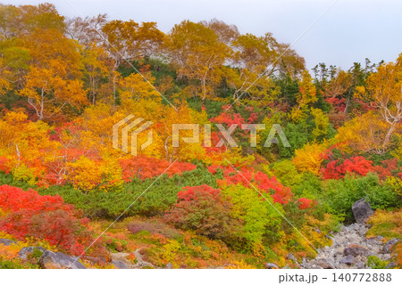 秋の快晴 乗鞍岳・位ヶ原山荘付近から一望する赤や黄色のカラフルな紅葉の山肌風景 秋の快晴 乗鞍岳・位ヶ原山荘付近から一望する赤や黄色のカラフルな紅葉の山肌風景 140772888