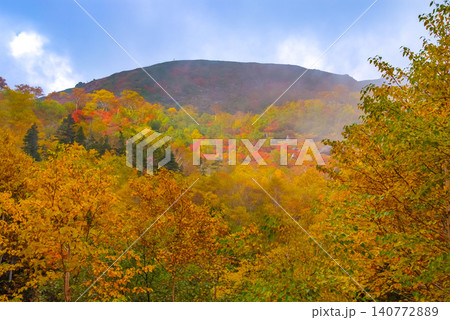 秋の快晴 乗鞍岳・位ヶ原山荘付近から一望する赤や黄色のカラフルな紅葉の山肌風景 秋の快晴 乗鞍岳・位ヶ原山荘付近から一望する赤や黄色のカラフルな紅葉の山肌風景 140772889