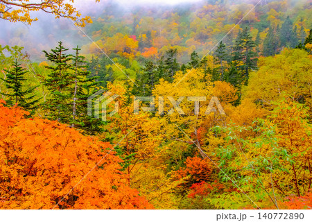 秋の快晴 乗鞍岳・位ヶ原山荘付近から一望する赤や黄色のカラフルな紅葉の山肌風景 140772890