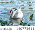A white goose swims gracefully on calm water. The surface reflects light, creating a serene atmosphere. Green foliage frames the scene. 140773611