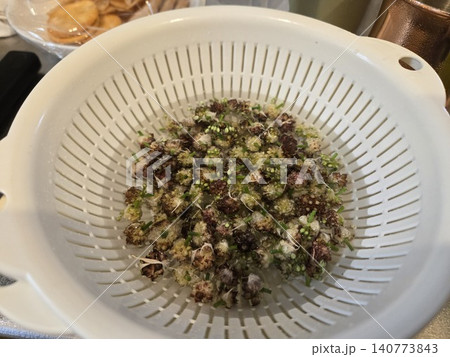 水で洗った山菜のノビルのむかご(野蒜の珠芽) 水で洗った山菜のノビルのむかご(野蒜の珠芽) 140773843