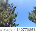 松と青い空　(よこ向き) 140773863