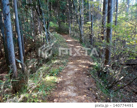 山道の風景 山道の風景 140774491