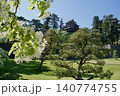 春　満開のヒトツバタゴの木 140774755