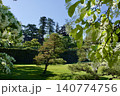 春　満開のヒトツバタゴの木 140774756