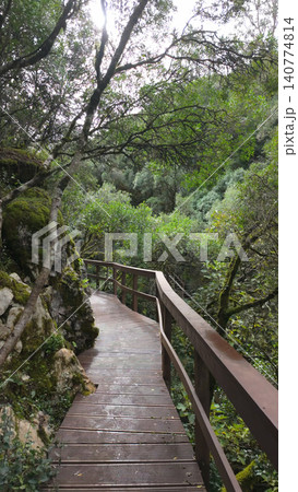 Mystical forest at Rio de Mouros pathway in Condeixa, Coimbra Portugal 140774814