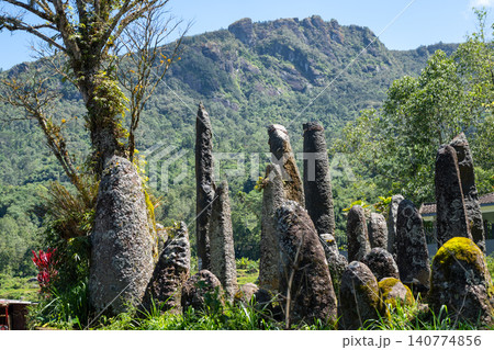 Funerary monoliths standing in Toraja, Sulawesi, Indonesia Funerary monoliths standing in Toraja, Sulawesi, Indonesia 140774856