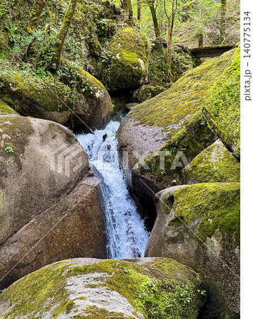 Small Waterfall Cascading Between Mossy Granite Boulders in Levada dos Jugueiros Small Waterfall Cascading Between Mossy Granite Boulders in Levada dos Jugueiros 140775134