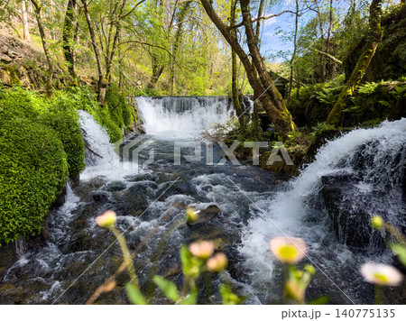 River Cascades and Small Waterfall at Levada dos Jugueiros in Portugal River Cascades and Small Waterfall at Levada dos Jugueiros in Portugal 140775135