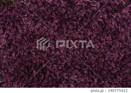 Purple carpet 140775422