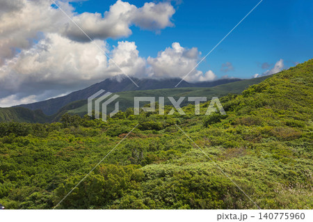 月山弥陀ヶ原湿原より鳥海山を眺望 月山弥陀ヶ原湿原より鳥海山を眺望 140775960