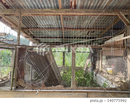 Abandoned rural fish shed with overgrown weeds Abandoned rural fish shed with overgrown weeds 140775992
