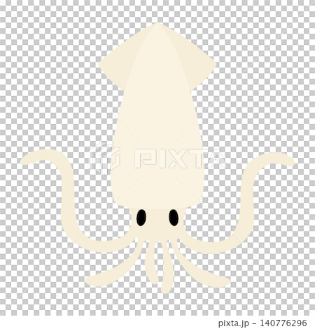 Simple and cute squid vector illustration Simple and cute squid vector illustration 140776296