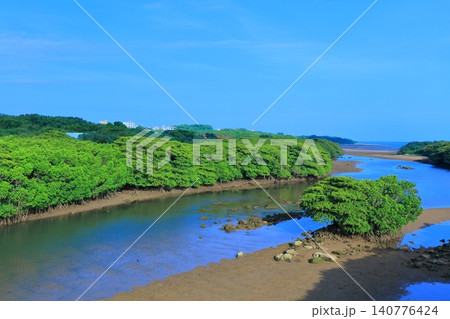 【沖縄県】快晴の宮良川のヒルギ林（石垣島） 140776424