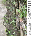 Garden Path Edge with Cement, Bricks, and Weeds 140777113
