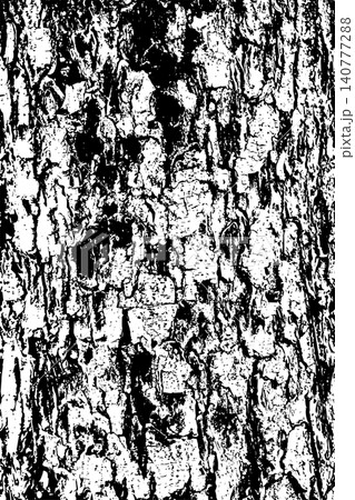 tree bark texture tree bark texture 140777288