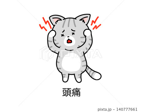 更年期障害や低気圧頭痛・偏頭痛で悩むネコさん 更年期障害や低気圧頭痛・偏頭痛で悩むネコさん 140777661