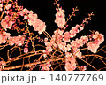 ライトアップされた夜桜　枝垂れ桜 140777769