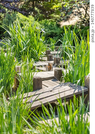 Garden path near wooden posts surrounded by tall grass and plants on a sunny day Garden path near wooden posts surrounded by tall grass and plants on a sunny day 140777839