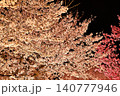 ライトアップされた夜桜 140777946