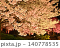 ライトアップされた夜桜 140778535