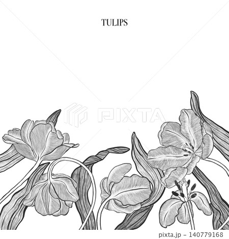 Tulip. Elegant tulip frame: hand drawn botanical illustration. Spring flowers. Invitation. Space for text. 140779168