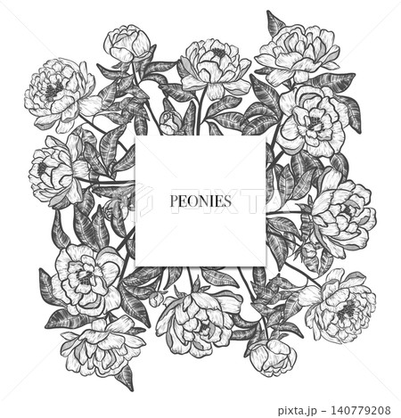 White peonies. Elegant peony frame: hand drawn botanical illustration. Graphic design. Summer flowers. Invitation. 140779208