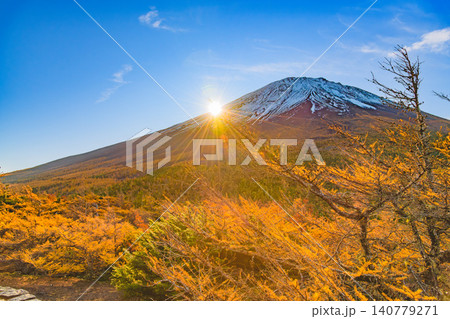 秋の早朝 富士山・奥庭展望台から望む山麓から昇る朝日と光に照らされるカラマツ林の絶景 秋の早朝 富士山・奥庭展望台から望む山麓から昇る朝日と光に照らされるカラマツ林の絶景 140779271