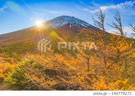 秋の早朝 富士山・奥庭展望台から望む山麓から昇る朝日と光に照らされるカラマツ林の絶景 秋の早朝 富士山・奥庭展望台から望む山麓から昇る朝日と光に照らされるカラマツ林の絶景 140779272