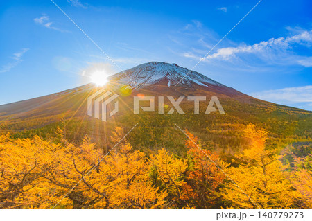 秋の早朝 富士山・奥庭展望台から望む山麓から昇る朝日と光に照らされるカラマツ林の絶景 秋の早朝 富士山・奥庭展望台から望む山麓から昇る朝日と光に照らされるカラマツ林の絶景 140779273