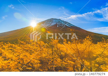 秋の早朝 富士山・奥庭展望台から望む山麓から昇る朝日と光に照らされるカラマツ林の絶景 140779274