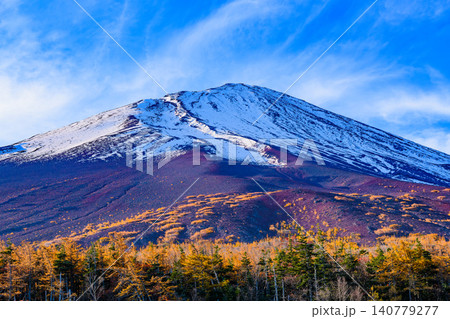 秋の快晴 富士スバルライン五合目の展望広場から望むオレンジのカラマツ林と雪化粧した富士山風景 140779277