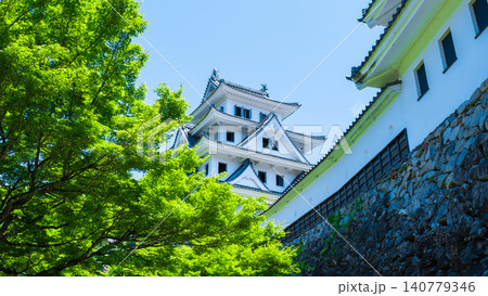 郡上八幡城 140779346