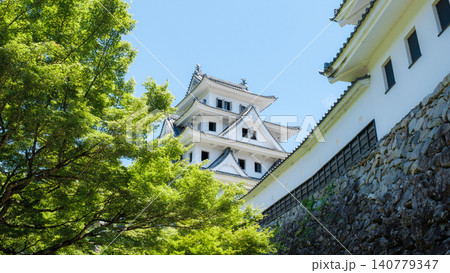 郡上八幡城 140779347