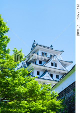 郡上八幡城 郡上八幡城 140779348