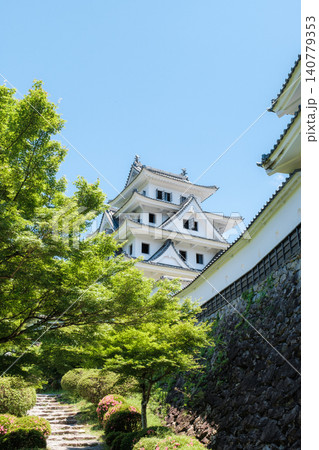 郡上八幡城 郡上八幡城 140779353